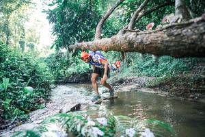 BIB: 
                            <button type="button" onclick="openModal(25432827)" class="btn btn-primary btn-sm float-right btn-popup" data-toggle="modal" data-target=".modal-high-quality">
                        <i class="fas fa-shopping-cart"></i> Add to Cart
                    </button>
                                            <button type="button" onclick="isThisMe(25432827, true)" class="btn btn-success btn-sm float-right btn-popup btn-isme hidden" data-toggle="tooltip" data-placement="bottom" title="นี่คือรูปของคุณใช่ไหม คลิกที่นี่เพื่อเอาเข้าอัลบั้ม">
                        <i class="fas fa-plus"></i> Add to album
                    </button>
                    <button type="button" onclick="isThisMe(25432827, false)" class="btn btn-warning btn-sm float-right btn-popup btn-isnotme hidden">
                        <i class="fas fa-ban"></i> Remove from album
                    </button>